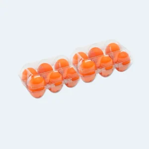 Embalagem para Ovos 2X6 Transparente