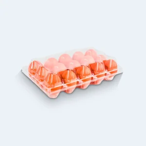 ET 15 – Embalagem para Ovos